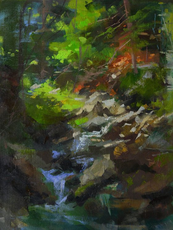 Mountain stream