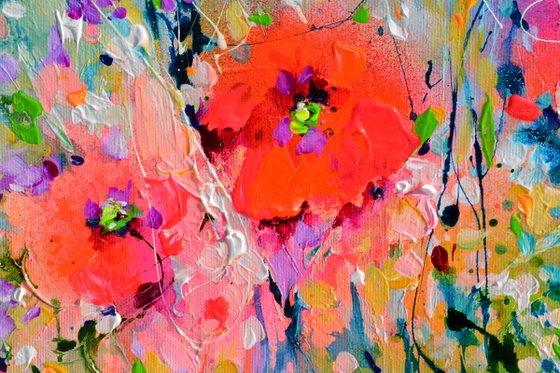 Tuscany Poppy Fields - Wild Flowers