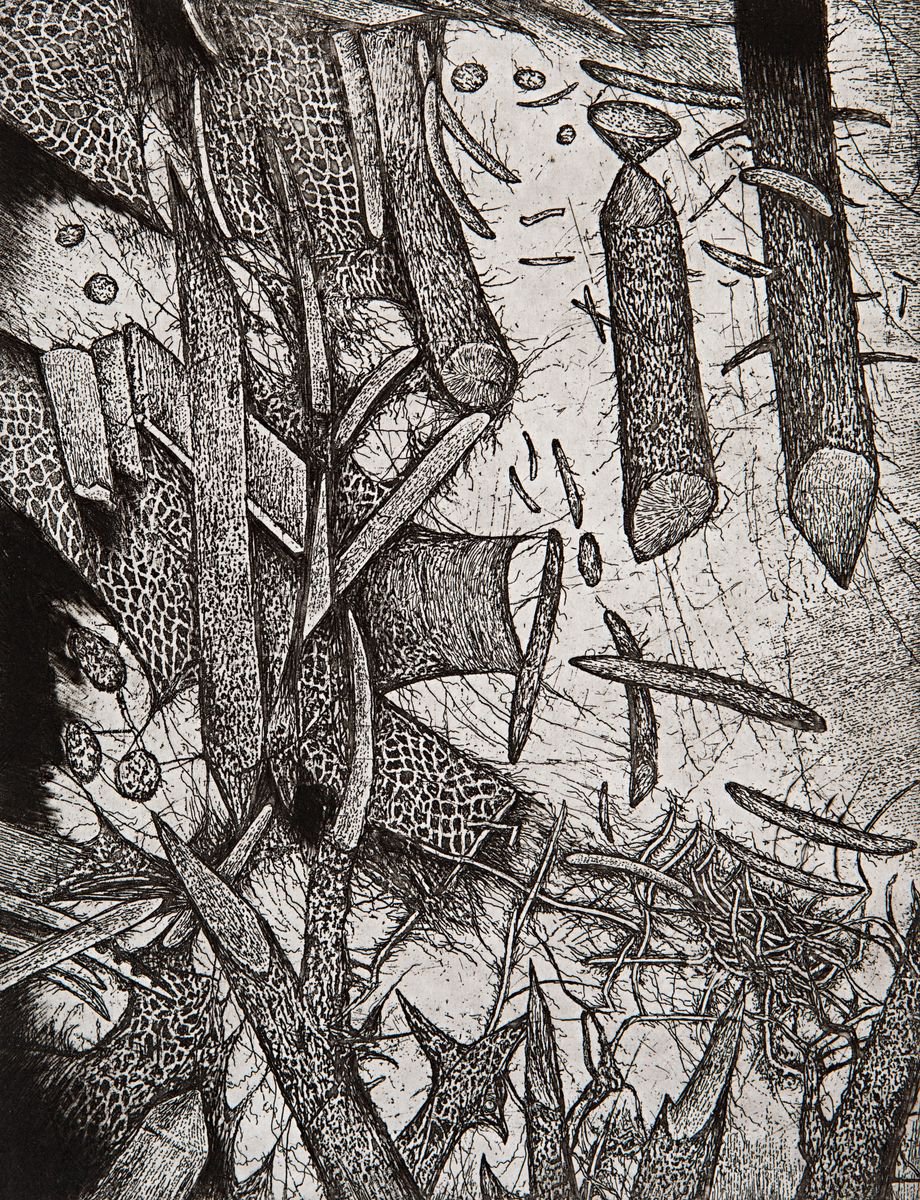 Dream of the Birdcatcher by Victor Savchenko