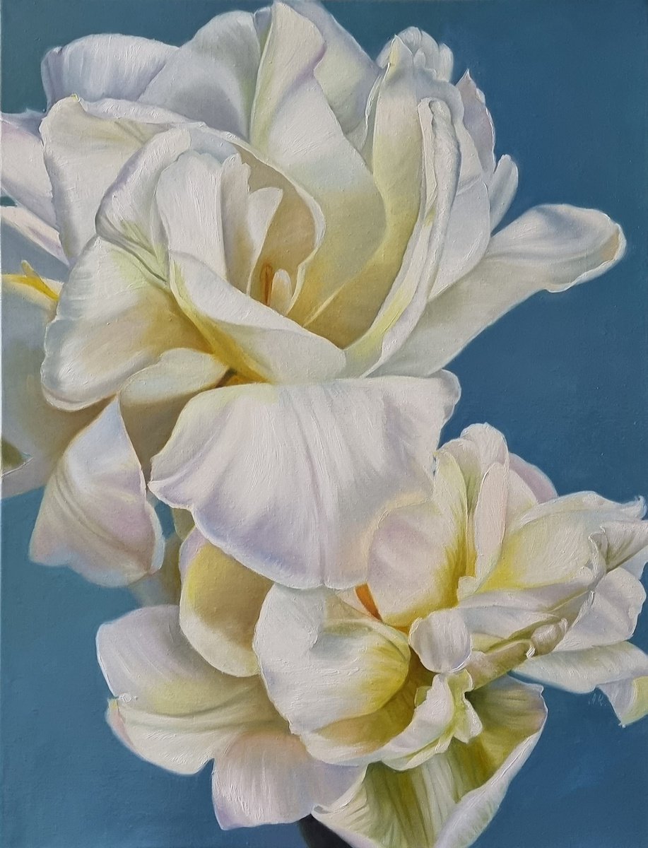 Dance of white silk. tulip flower 2021 by Anna Kotelnik
