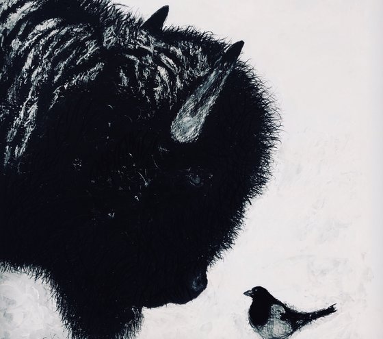 Bison And A Magpie