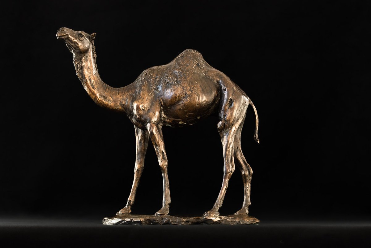 Camel Foundry Bronze sculpture by Tanya Russell