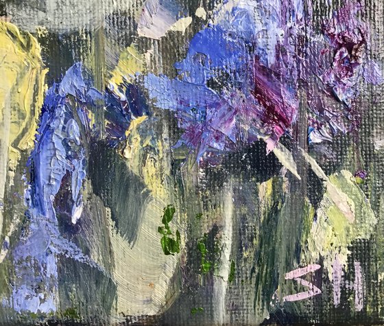 Purple Poppies