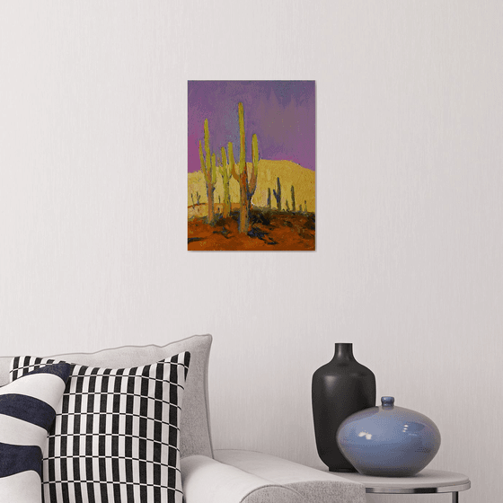 Saguaros. Evening