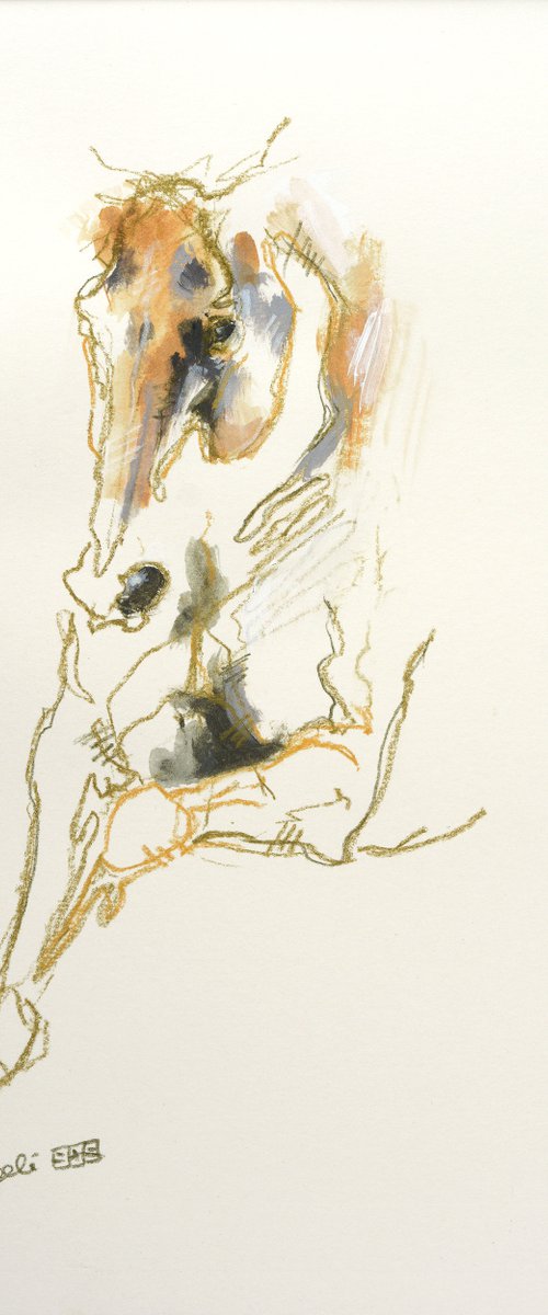 Equine Nude 252 by Benedicte Gele