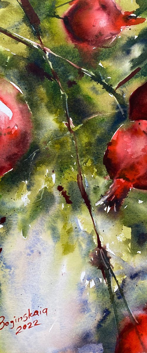 pomegranate 3 - watercolor painting by Anna Boginskaia