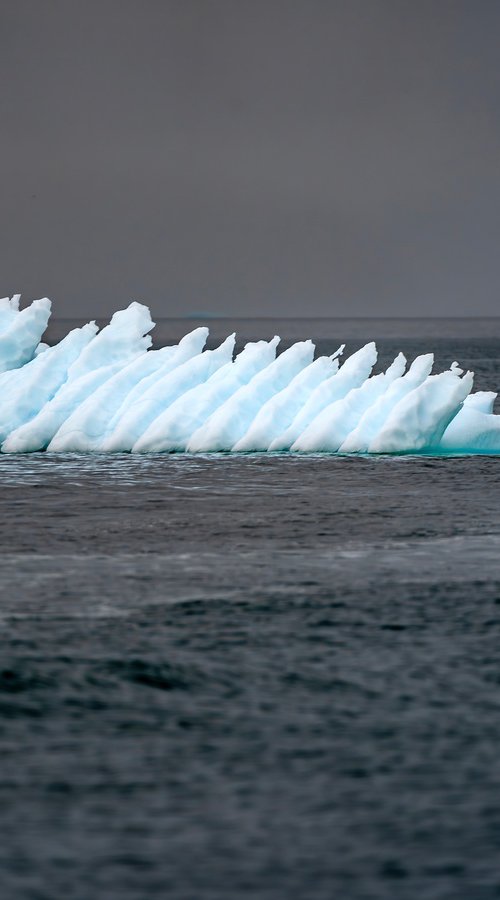 THE FISHBONE ICE by Fabio Accorrà