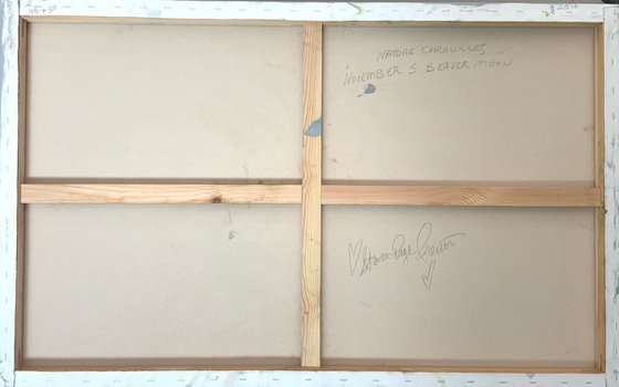 Nature Chronicles November 5 Beaver Moon