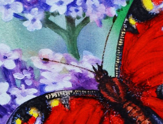 Peacock Butterfly on Verbena 5 x 7.5 inch