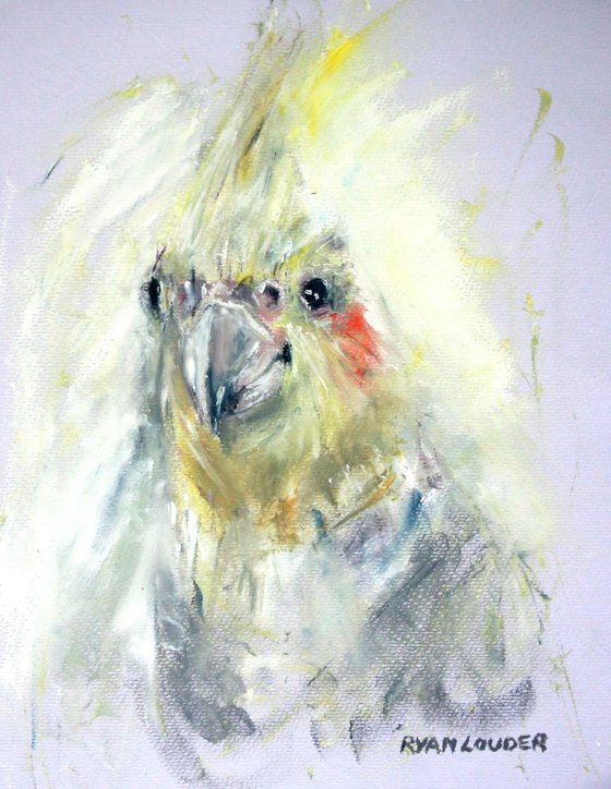 Cockatiel