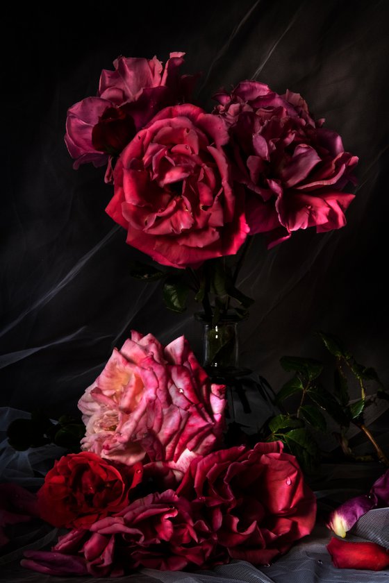 Roses