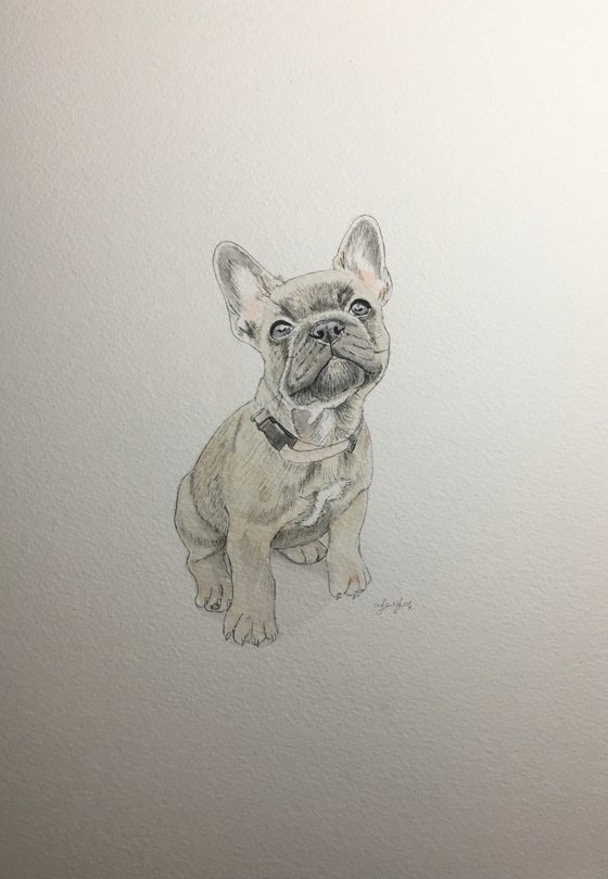 French Bulldog Painting