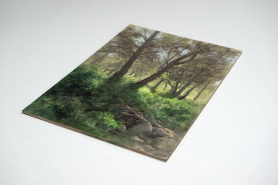 Spring in the forest