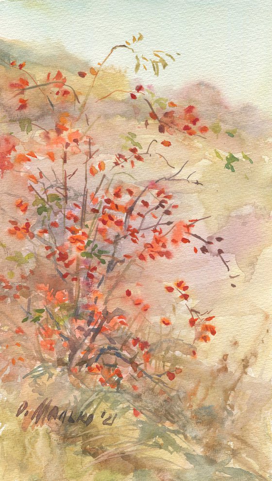 Red flame of a dog-rose / Plein air watercolor Original landscape picture Autumn art work Small size painting
