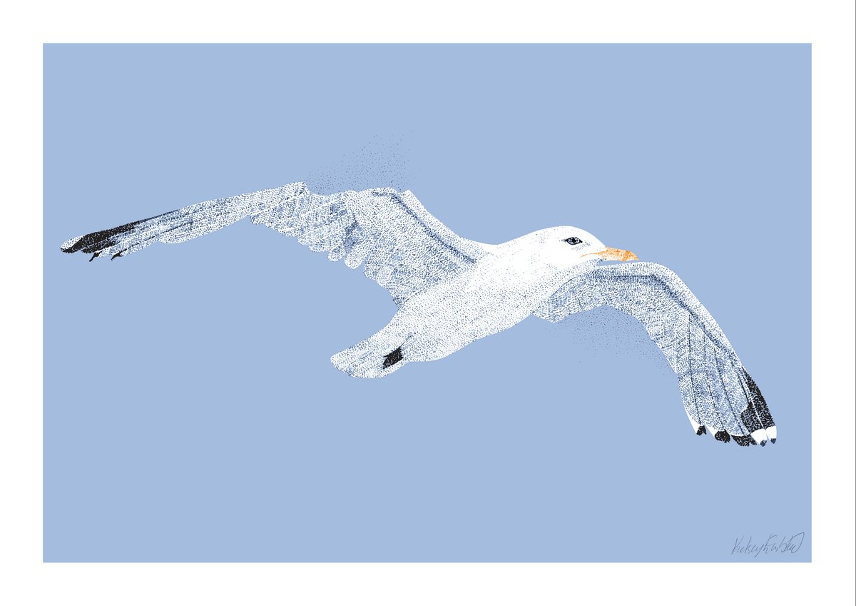 Seagull - Limited Edition Print by Kelsey Emblow