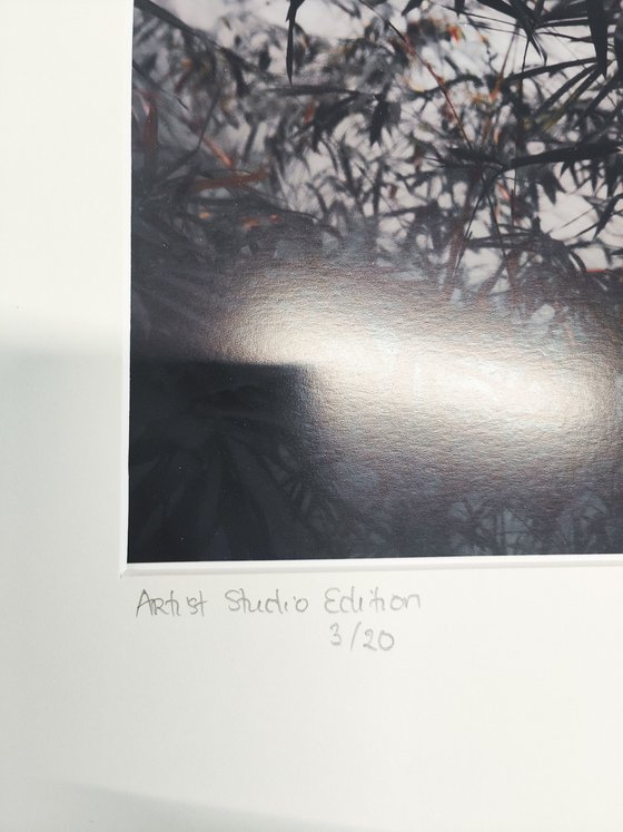 (FRAMED) The power of simplicity II