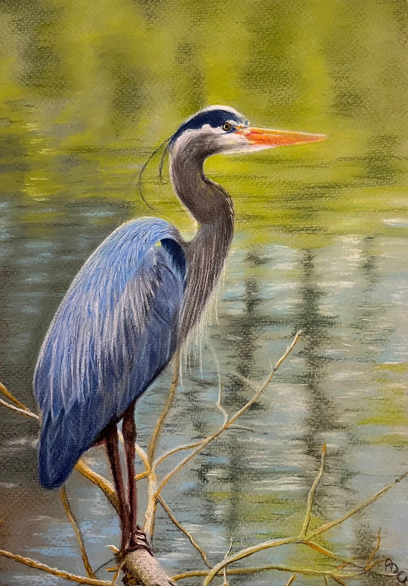 Photorealistic Pastel Drawing , Azure Elegance: Heron In The Sebino Wetlands By Angelo Di Carlo, 8 X 12, Artwork For Sale On Artfinder