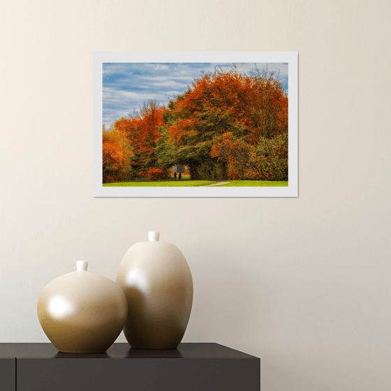 Autumn Walk. Limited Edition 1/50 15x10 inch Photographic Print