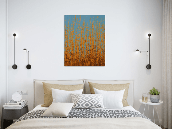 Autumn Orange - Color Field
