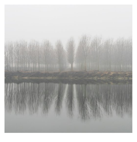 the river