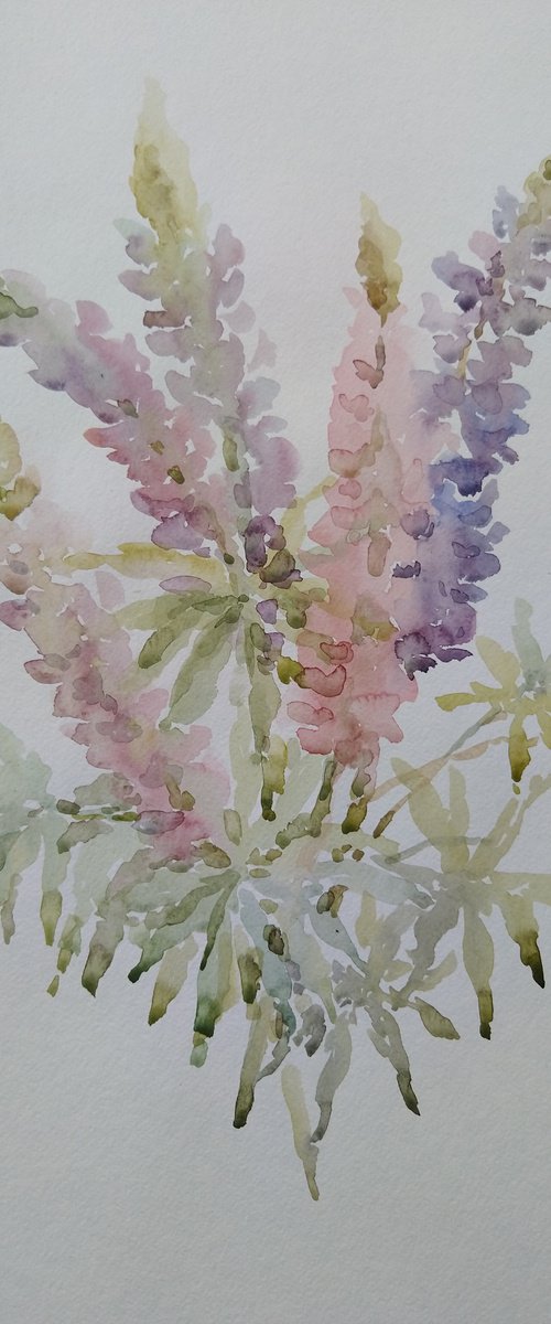 Lupin. Original watercolour painting. 2020 by Elena Klyan