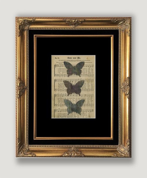 Butterfly Collage 15 by Kathy Morton Stanion