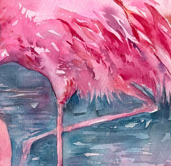 Flamingo Lagoon