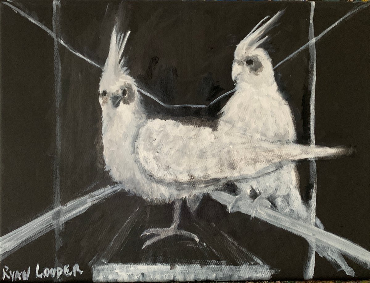Two Birds 12x16 Canvas by Ryan  Louder