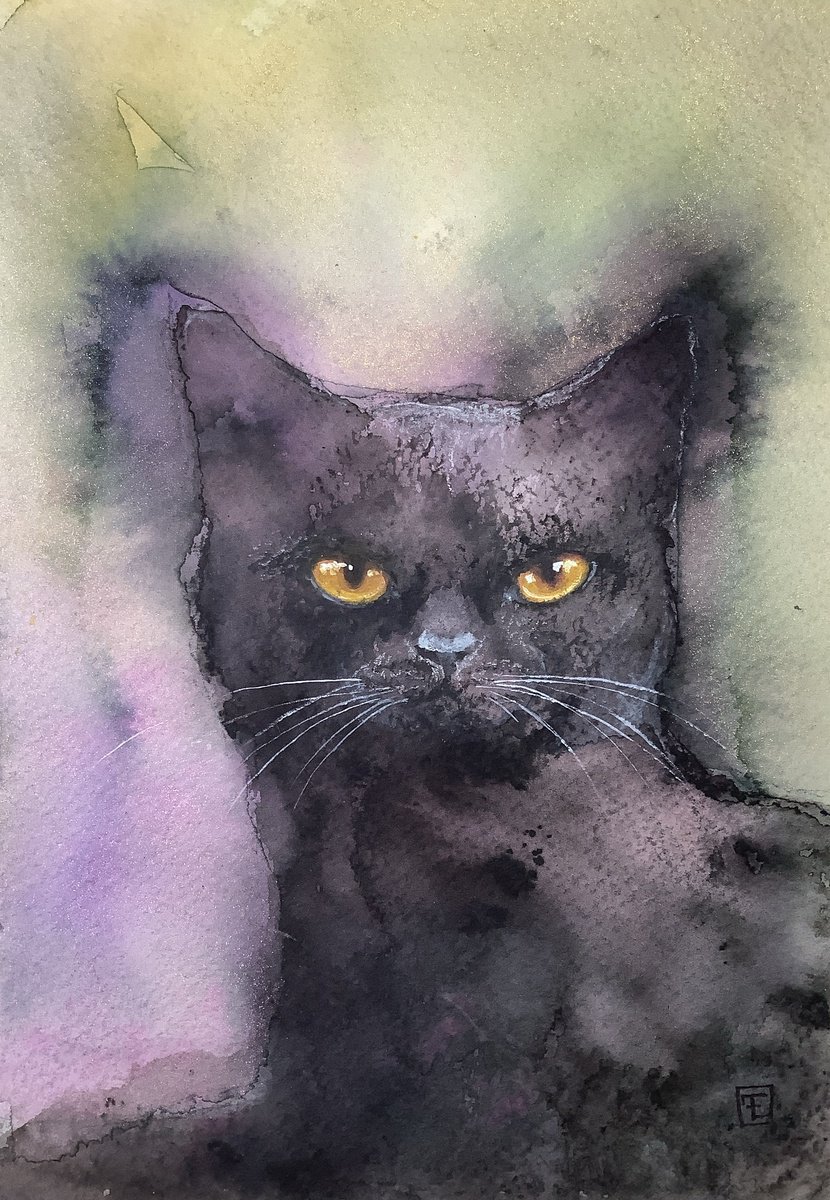 Watercolour , Victor By Eva Fialka, 8 X 12, Artwork For Sale On Artfinder