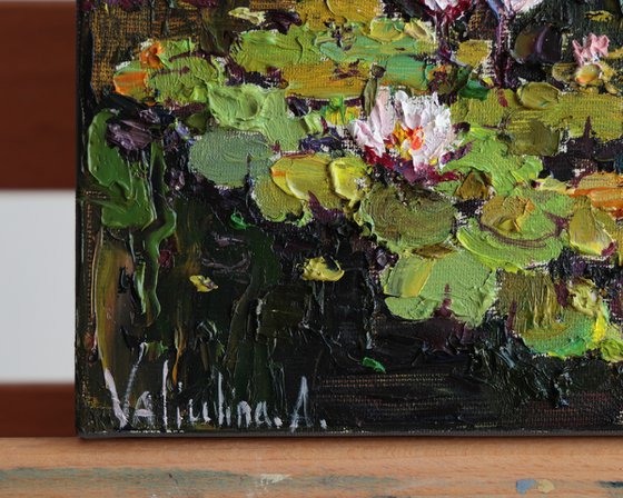 Blooming Water Lilies