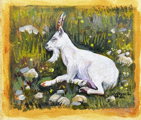 Mountain goat