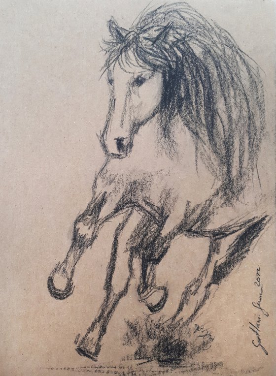 Horse 4 Sketch  /  ORIGINAL PAINTING