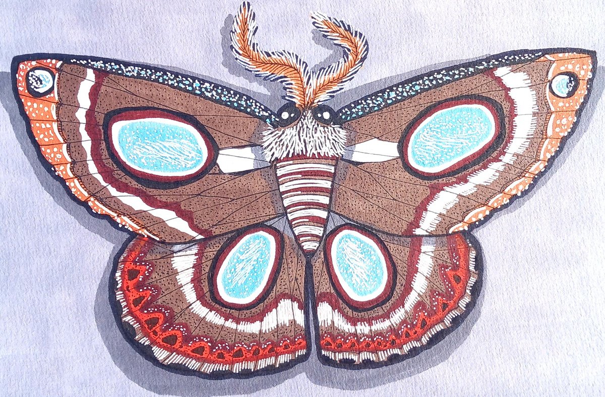Illustrative Animal Painting By Terri Smith, 12 X 10", Little Moth, Original Artwork