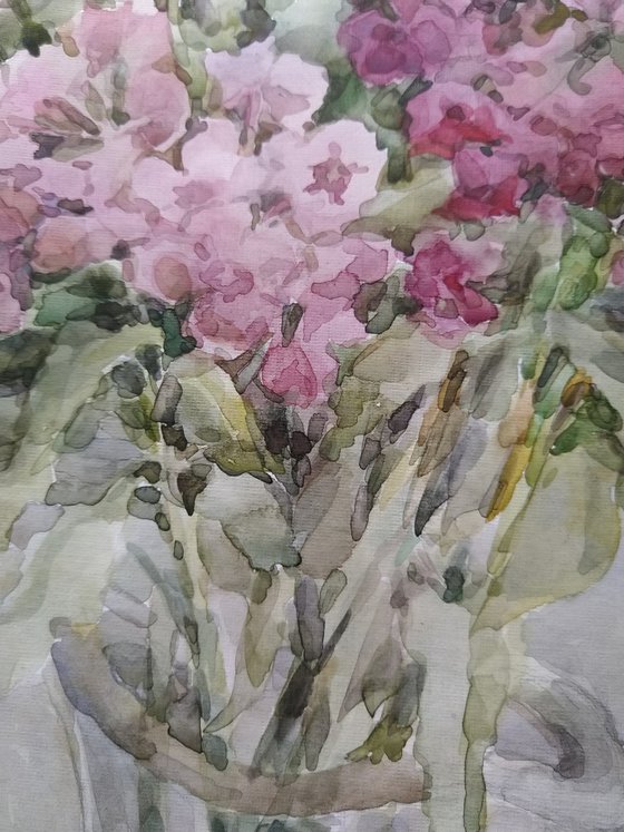 Bouquet of Phloxes. Original watercolour painting.