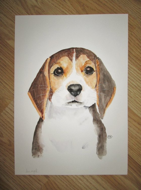 Cute Beagle Puppy Dog Portrait