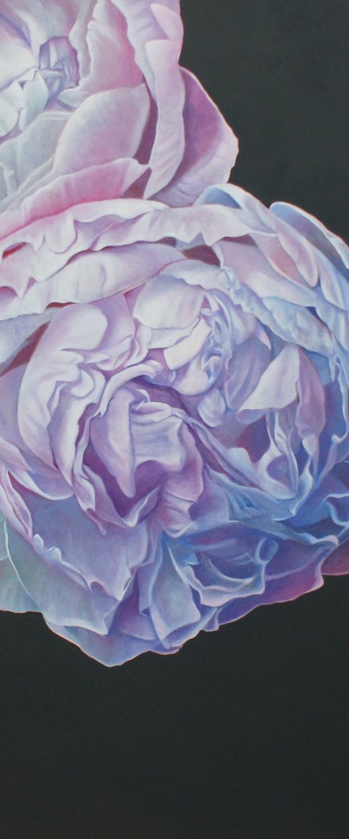 Close to You by Sandra Michele Knight