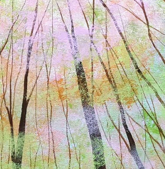 Reaching for the Light