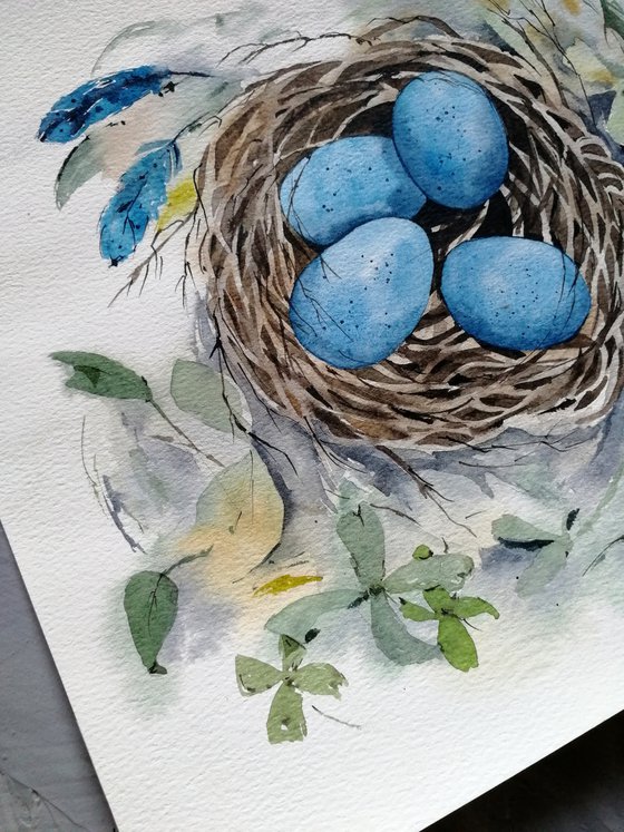 Nest with blue eggs