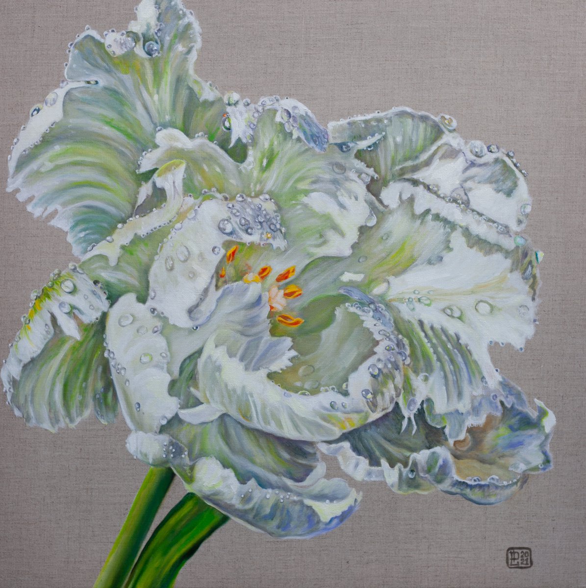 White Tulip by Liudmila Pisliakova