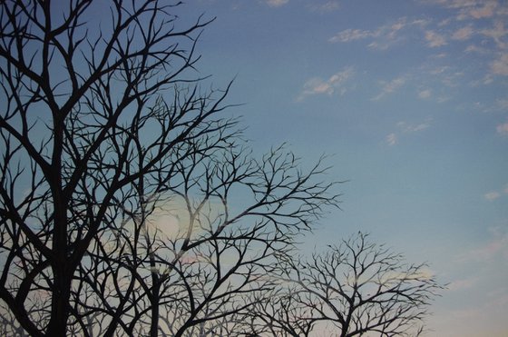 A Winters Day