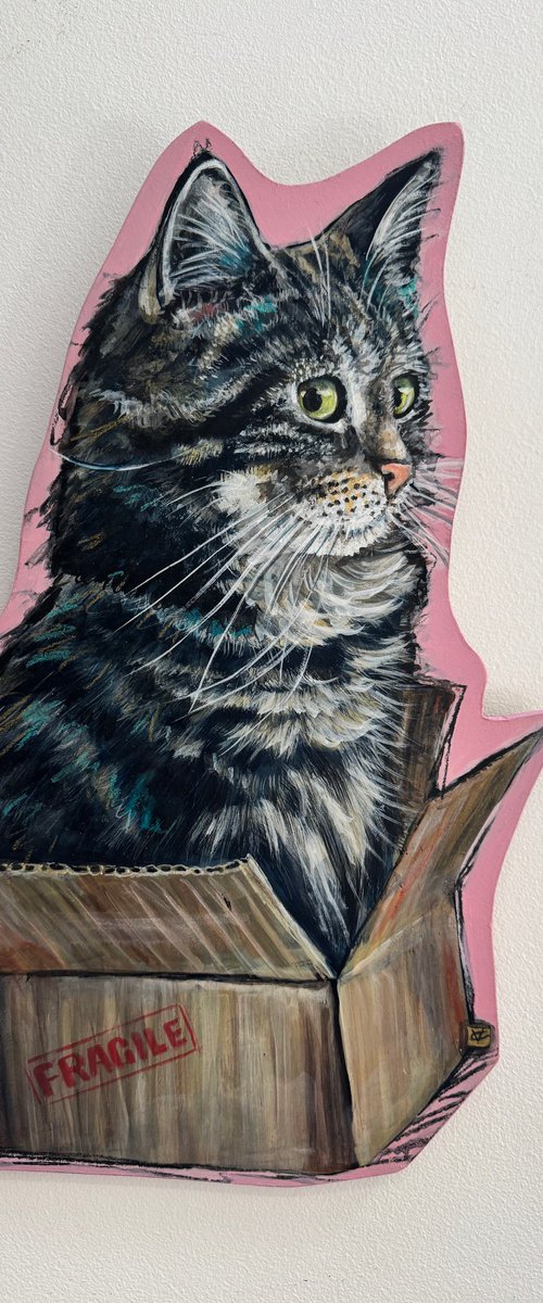 Cut In A Box Cutout #1 by Victoria Coleman