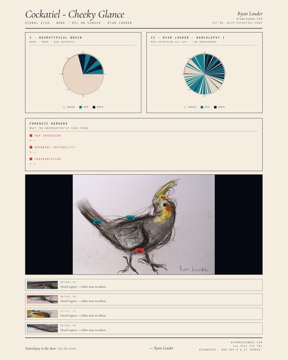 Cockatiel - Cheeky Glance