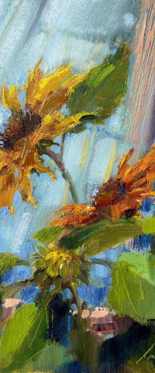 Sunflower on a blue background by Olha Laptieva