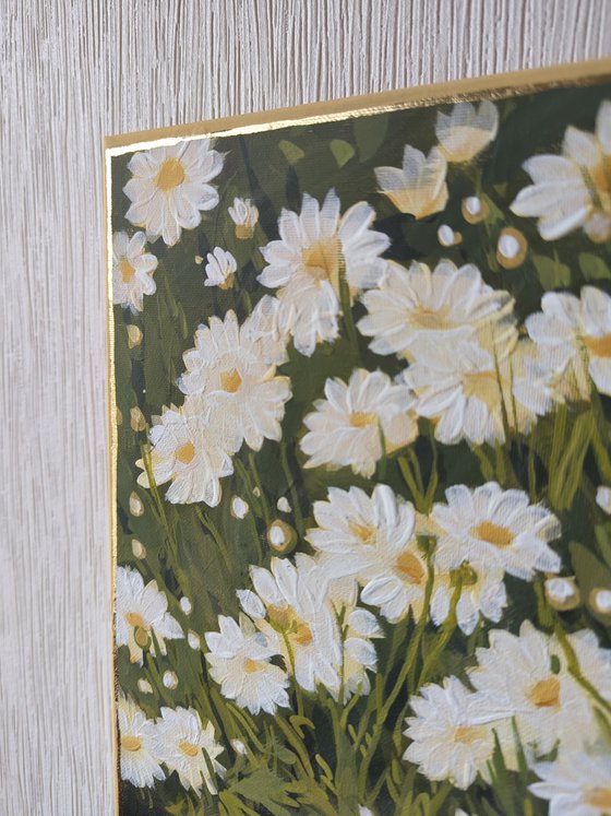 Daisies, "Moments" series
