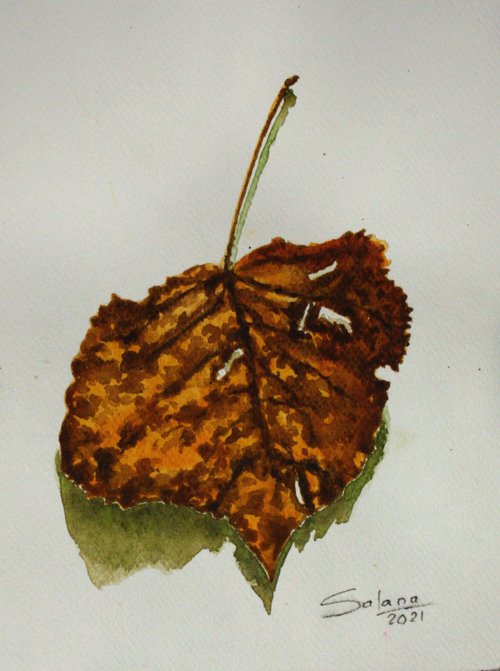 Dry Leaf /  ORIGINAL PAINTING by Salana Art Gallery