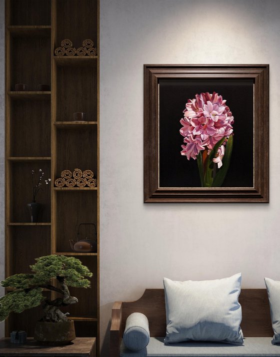 Chiaroscuro Pink Hyacinth Elegance