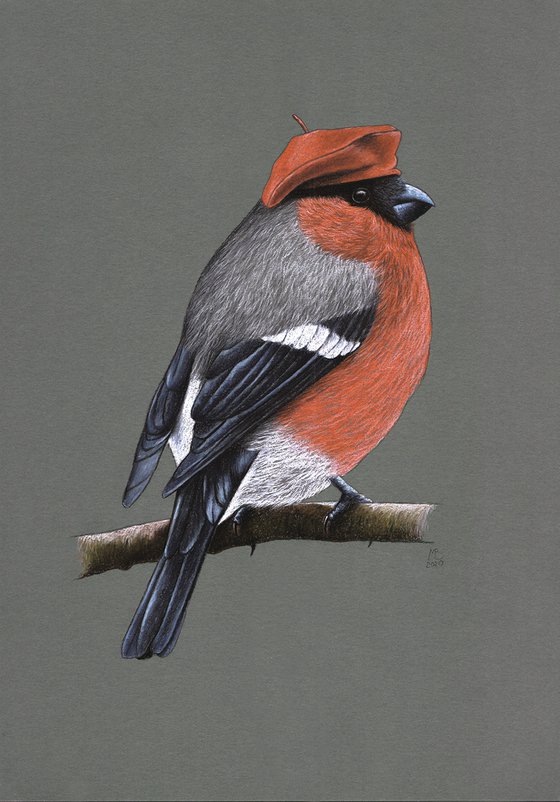 Original pastel drawing bird "Eurasian bullfinch"