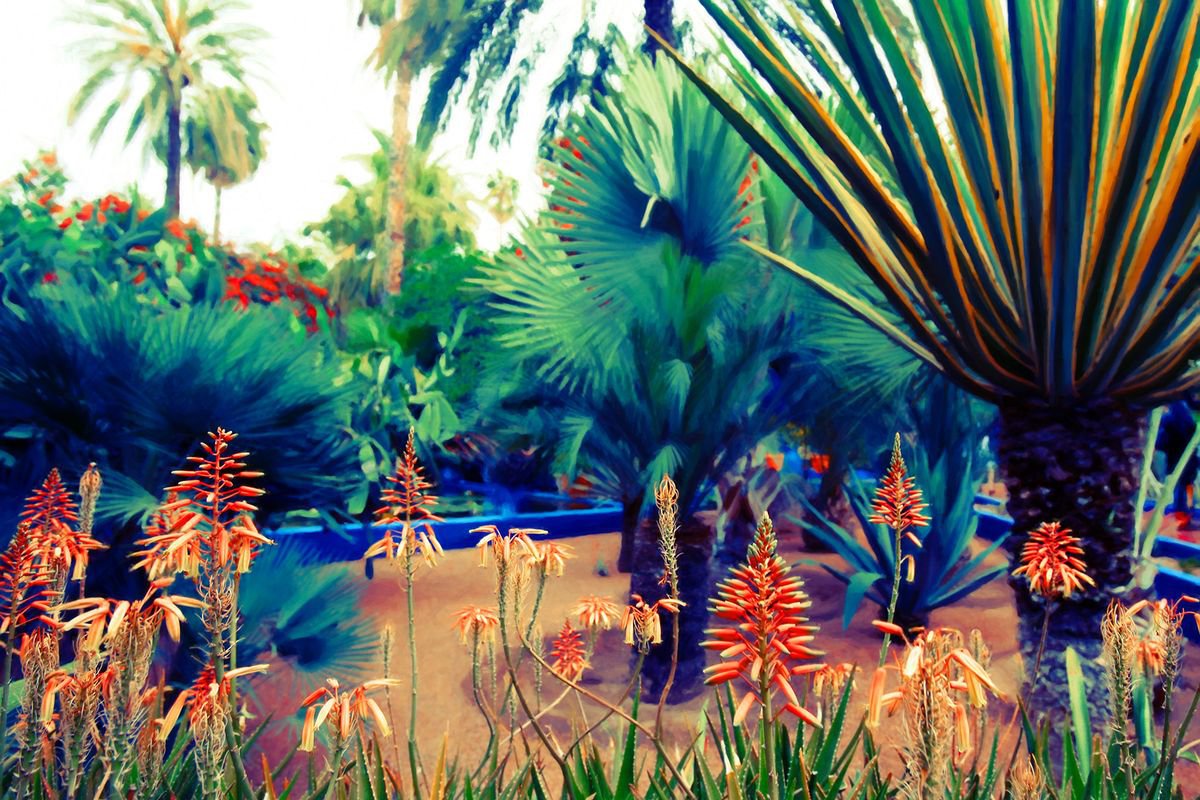 Majorelle Wild by Nadia Attura