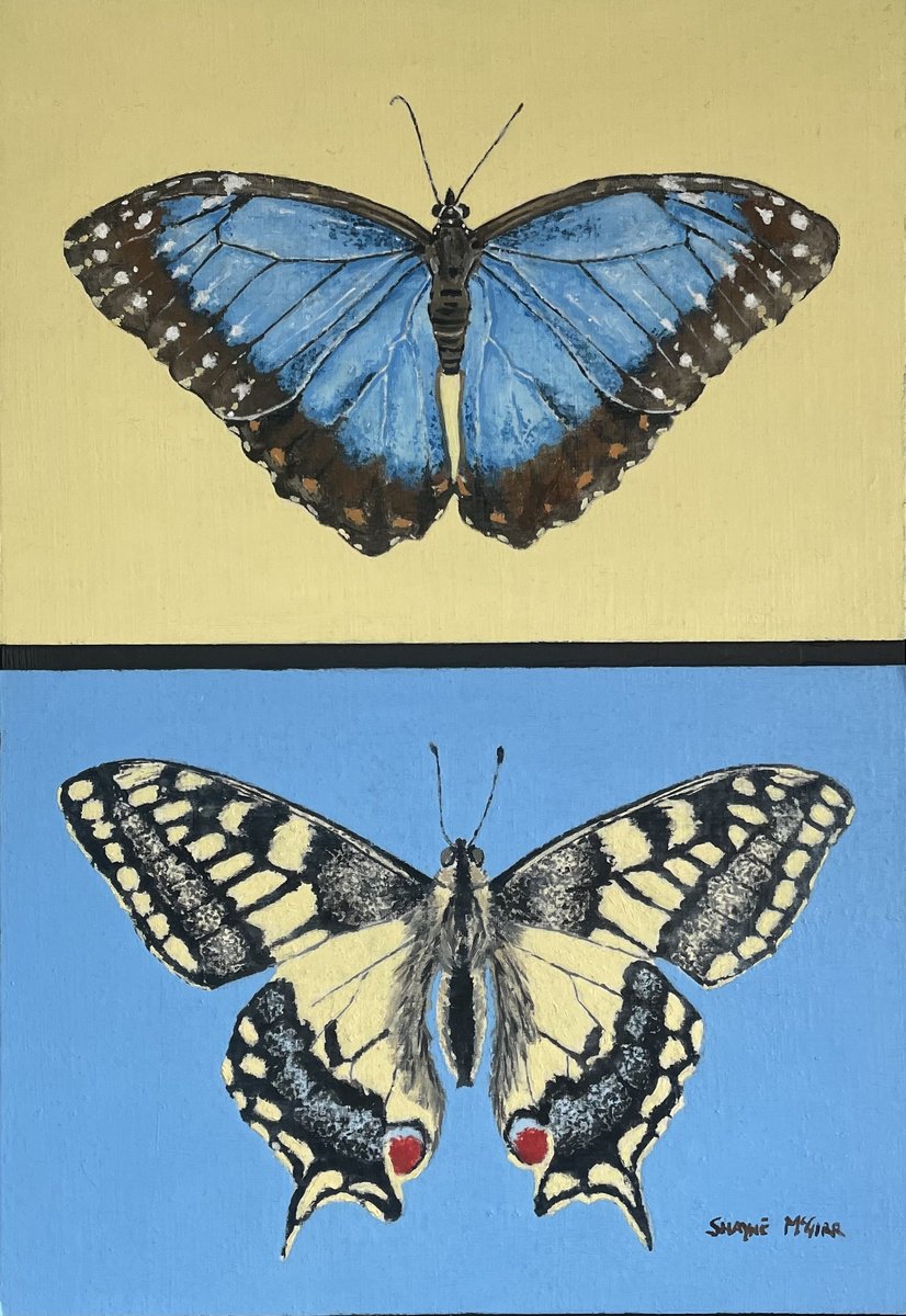 Impressionistic Animal Oil Painting By Shayne Mcgirr, 9 X 13", Swallowtail And Morpho, Original Artwork