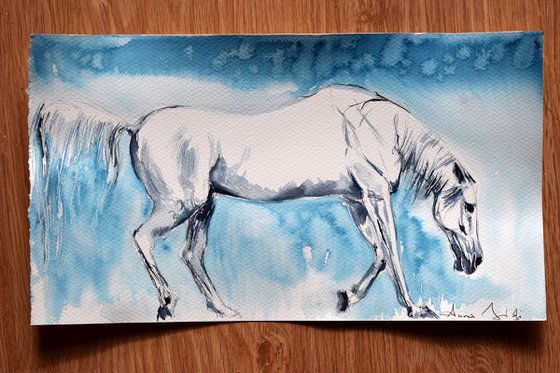 White on blue / Equine Horse  Art  Modern Contemporary Wall Art Home Decor  by Anna Sidi